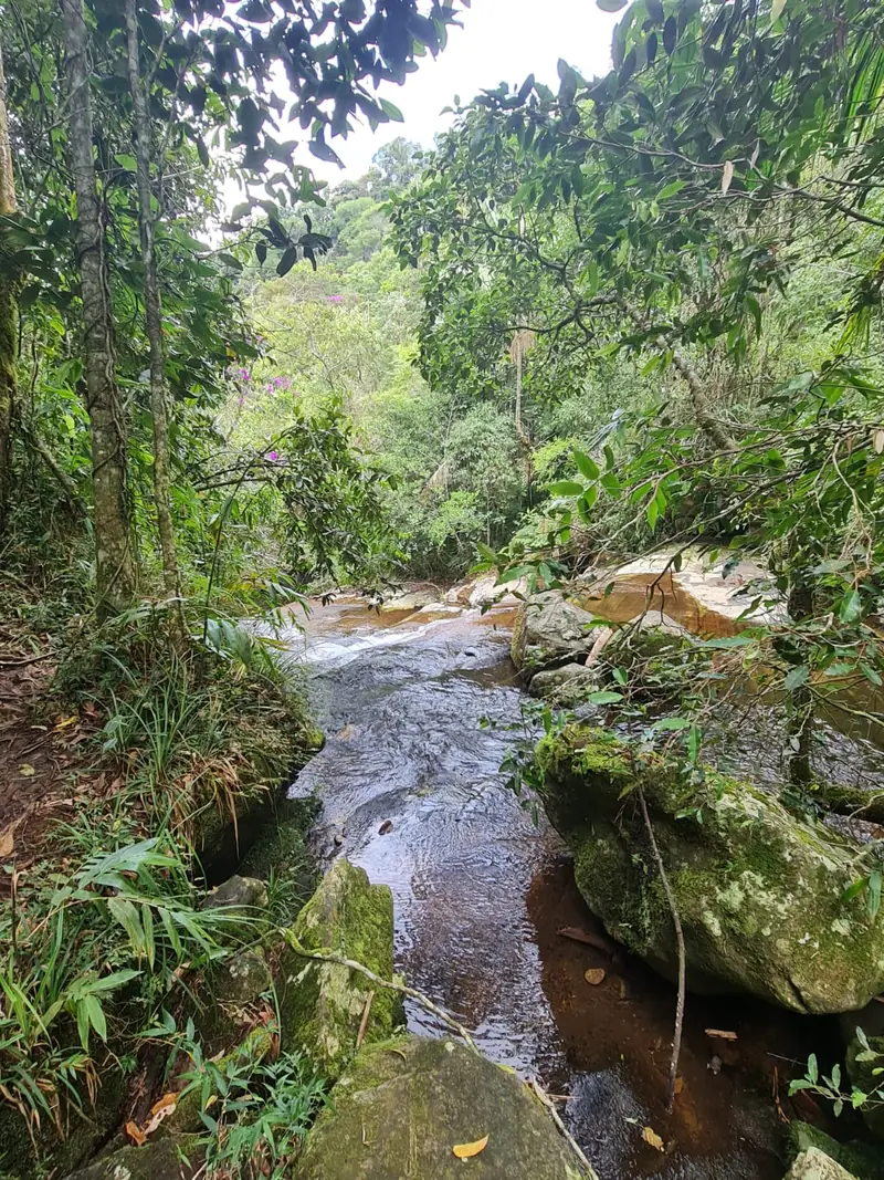 Trilha com poço natural e pequena cachoeira em meio à mata nativa